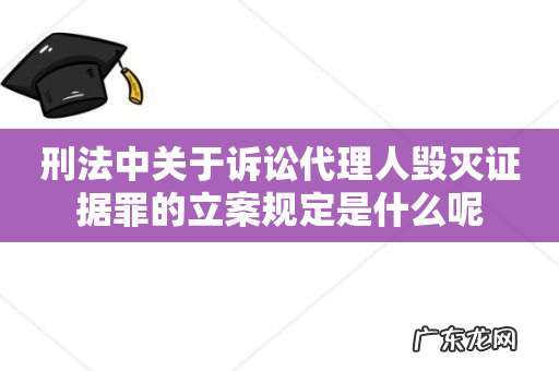 刑法中关于诉讼代理人毁灭证据罪的立案规定是什么呢