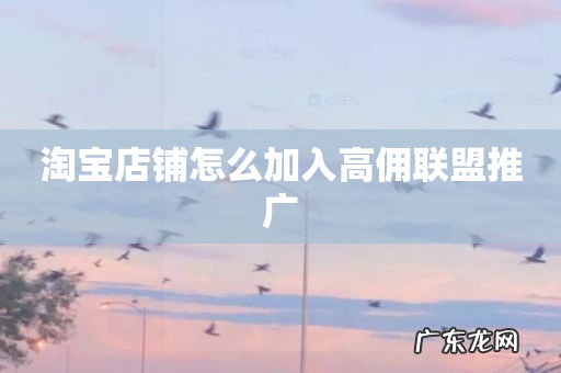 淘宝店铺怎么加入高佣联盟推广
