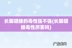 长脚胡蜂毒性厉害吗 长脚胡蜂的毒性强不强