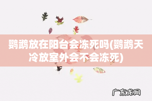 鹦鹉天冷放室外会不会冻死 鹦鹉放在阳台会冻死吗