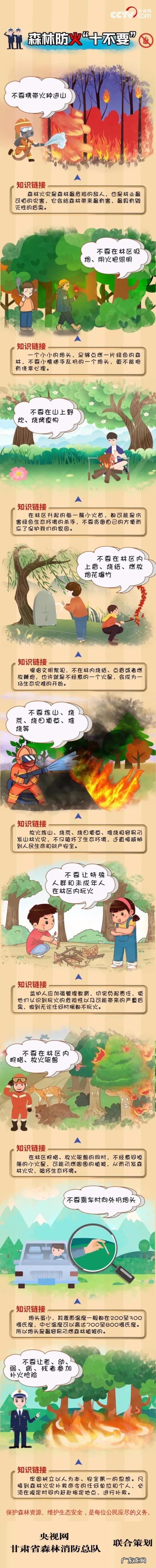 防火小知识 森林防火安全知识大全