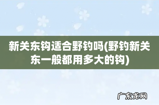 野钓新关东一般都用多大的钩 新关东钩适合野钓吗