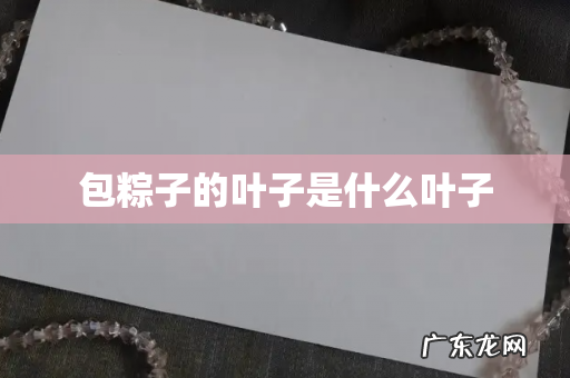 包粽子的叶子是什么叶子