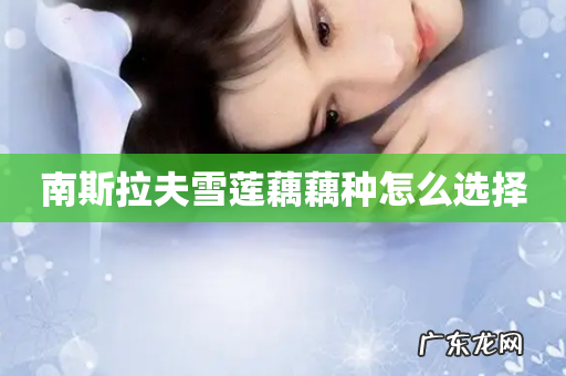 南斯拉夫雪莲藕藕种怎么选择