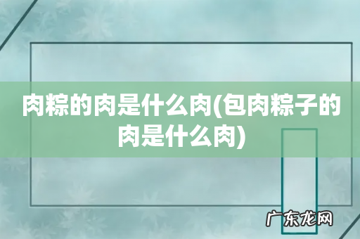 包肉粽子的肉是什么肉 肉粽的肉是什么肉