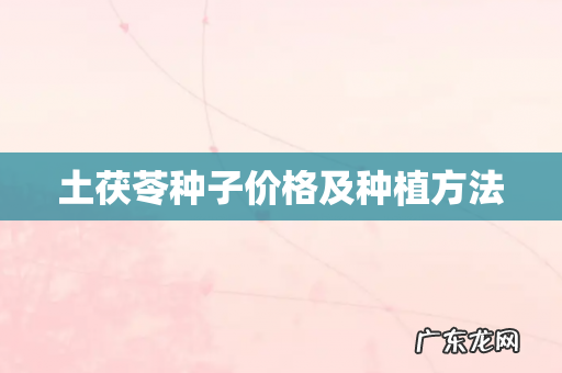 土茯苓种子价格及种植方法
