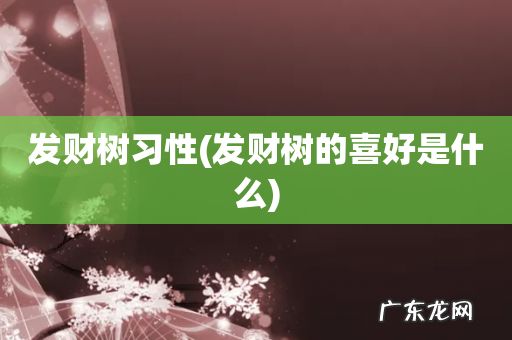 发财树的喜好是什么 发财树习性