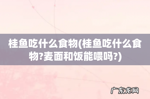 桂鱼吃什么食物?麦面和饭能喂吗? 桂鱼吃什么食物