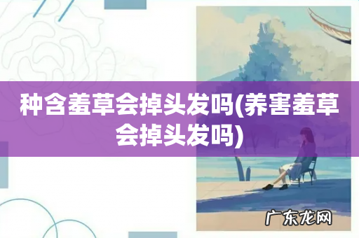 养害羞草会掉头发吗 种含羞草会掉头发吗