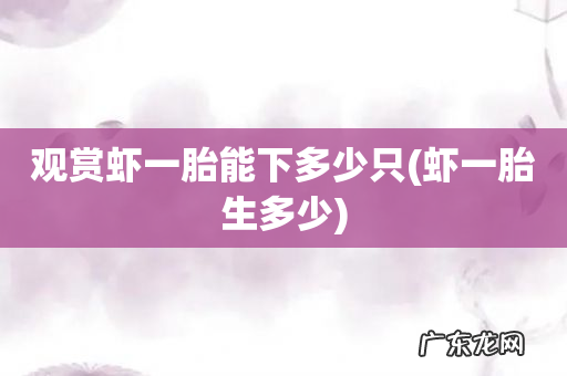 虾一胎生多少 观赏虾一胎能下多少只