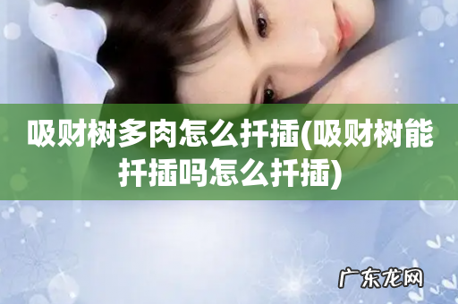 吸财树能扦插吗怎么扦插 吸财树多肉怎么扦插