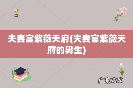 夫妻宫紫薇天府的男生 夫妻宫紫薇天府