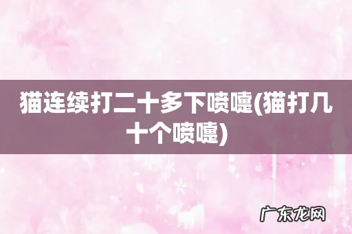 猫打几十个喷嚏 猫连续打二十多下喷嚏