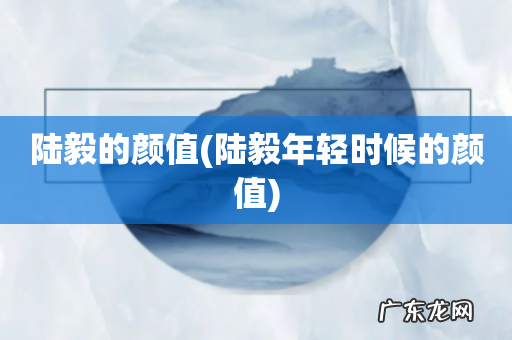 陆毅年轻时候的颜值 陆毅的颜值