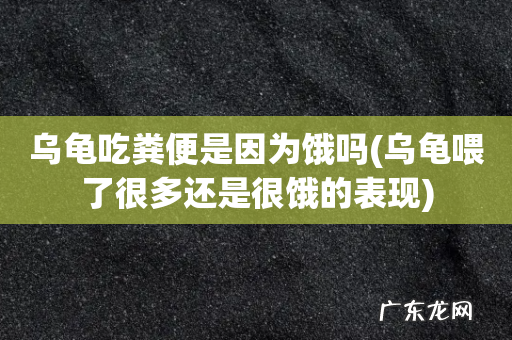 乌龟喂了很多还是很饿的表现 乌龟吃粪便是因为饿吗