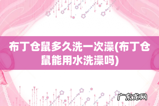 布丁仓鼠能用水洗澡吗 布丁仓鼠多久洗一次澡