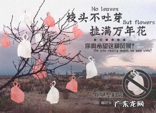 塑料袋对于环境的危害 塑料袋的危害有哪些
