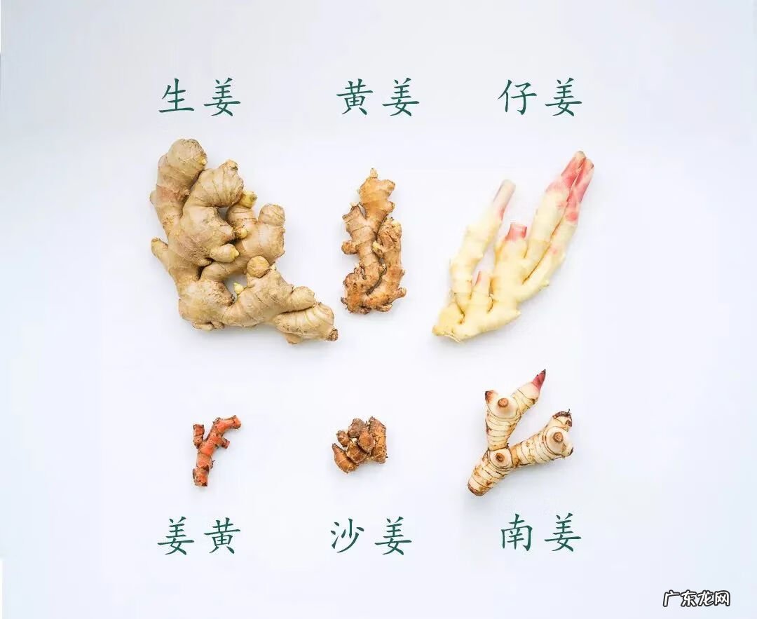 大蒜和香菜煮水喝的效果 香菜大蒜风水