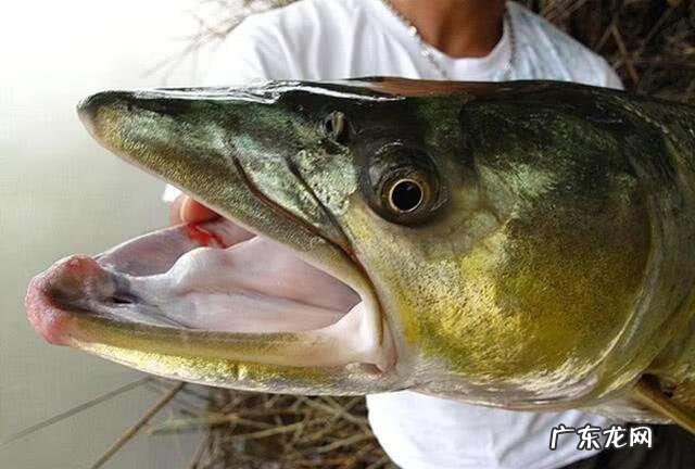 风水为何要前水后山 前有水后有山的风水