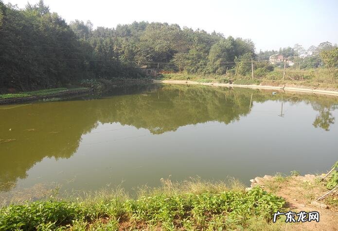 风水为何要前水后山 前有水后有山的风水