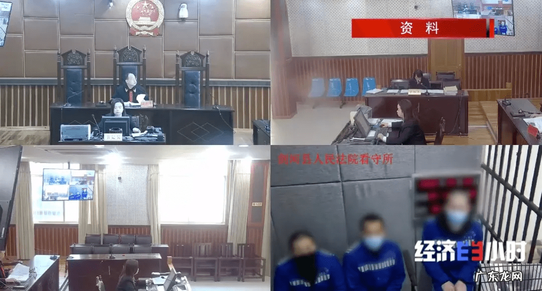 院子里死树能留吗 树干砍掉树根会死吗