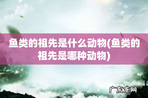 鱼类的祖先是哪种动物 鱼类的祖先是什么动物