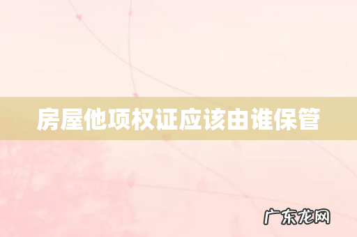 房屋他项权证应该由谁保管