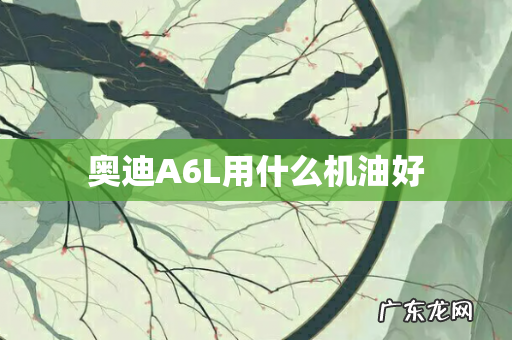奥迪A6L用什么机油好