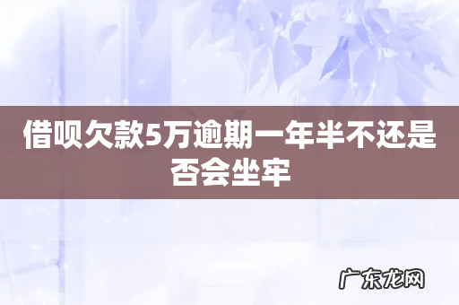 借呗欠款5万逾期一年半不还是否会坐牢