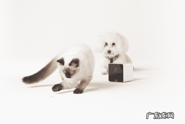 玩具直升机没有遥控器怎么玩 玩具遥控直升机怎么操作