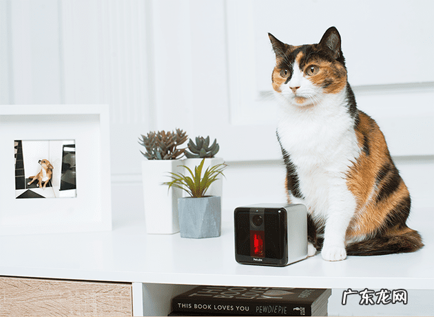 玩具直升机没有遥控器怎么玩 玩具遥控直升机怎么操作