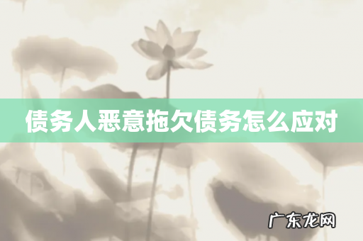 债务人恶意拖欠债务怎么应对