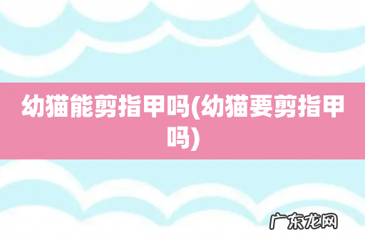 幼猫要剪指甲吗 幼猫能剪指甲吗
