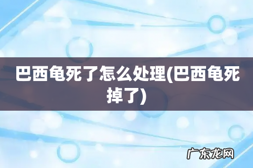 巴西龟死掉了 巴西龟死了怎么处理