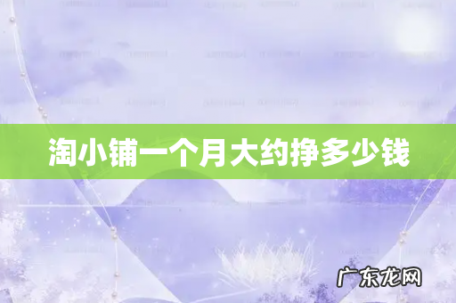 淘小铺一个月大约挣多少钱