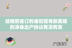 结婚前签订的谁犯错导致离婚的净身出户协议有没有效