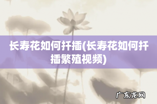 长寿花如何扦插繁殖视频 长寿花如何扦插