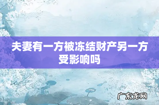 夫妻有一方被冻结财产另一方受影响吗
