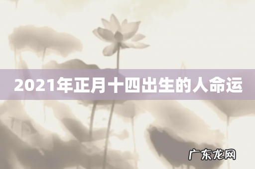 2021年正月十四出生的人命运