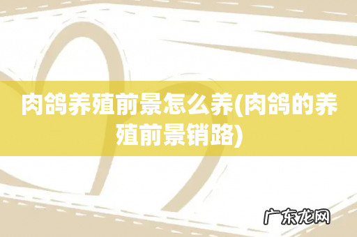 肉鸽的养殖前景销路 肉鸽养殖前景怎么养