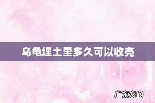 乌龟埋土里多久可以收壳