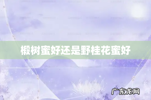 椴树蜜好还是野桂花蜜好