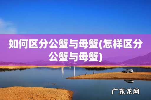 怎样区分公蟹与母蟹 如何区分公蟹与母蟹