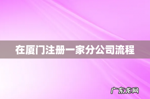 在厦门注册一家分公司流程