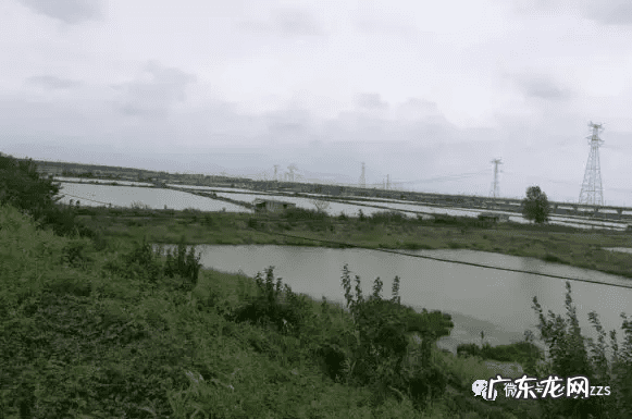 养虾风水好吗 虾形风水地可以出什么人?