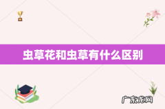 虫草花和虫草有什么区别