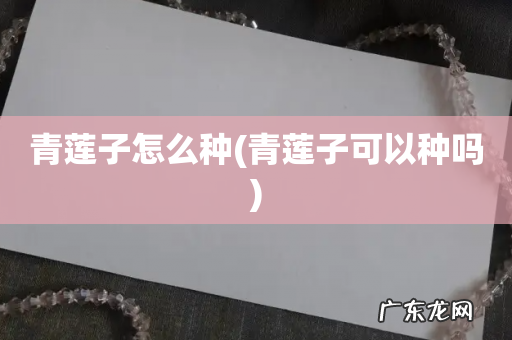 青莲子可以种吗 青莲子怎么种