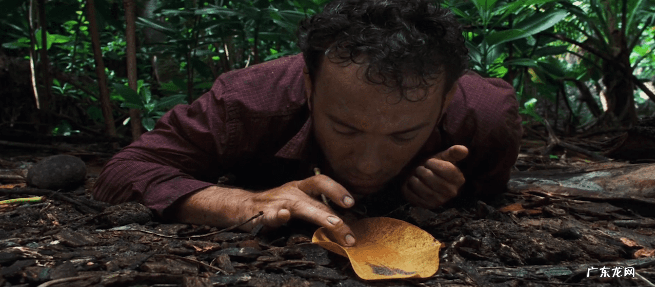 为什么孤岛余生玩不了 孤岛余生1修改器