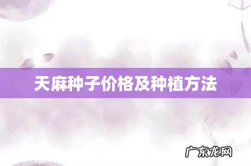 天麻种子价格及种植方法