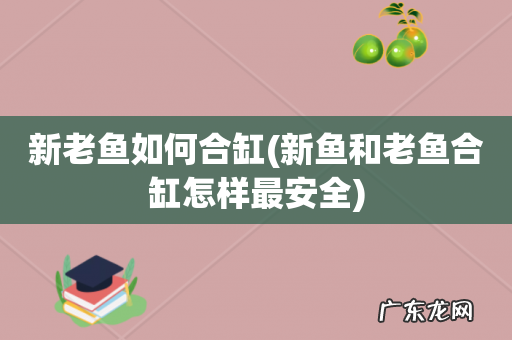 新鱼和老鱼合缸怎样最安全 新老鱼如何合缸